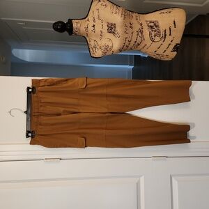 All in Motion Men's Brown Cargo Pants